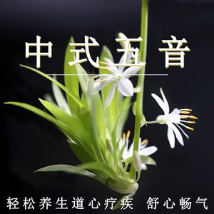 扒开浣肠
